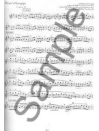 The Essential Guide To Irish Flute And Tin Whistle (noty na irskou flétnu, píšťalu) (+audio)