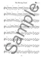Learn To Play Irish Fiddle (noty na housle) (+audio)