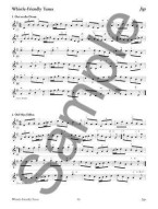 Grey Larsen: 150 Gems Of Irish Music For Tin Whistle (noty na irskou flétnu) (+audio)