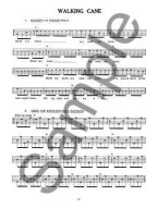 Janet Davis: Splitting The Licks 5 String Banjo (tabulatury na banjo) (+audio & video)