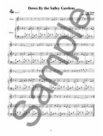 Mizzy McCaskill/Dona Gilliam: Celtic Flute Made Easy (noty na příčnou flétnu) (+audio)