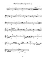 Philip John Berthoud: Irish Fiddle Playing (noty na housle) (+audio)