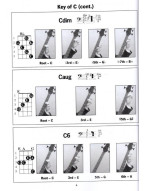 Bass Chord Picture Book (akordy na baskytaru) (+video)