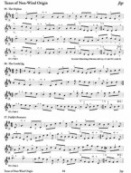 150 Gems Of Irish Music For Flute (noty na příčnou flétnu) (+audio)