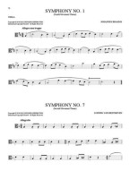 101 Classical Themes For Viola (noty na violu)