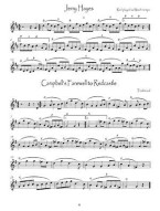 Kevin Allison: The Ceilidh Dance Book (noty na mandolínu, housle)