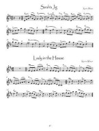 Kevin Allison: The Ceilidh Dance Book (noty na mandolínu, housle)