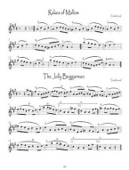Kevin Allison: The Ceilidh Dance Book (noty na mandolínu, housle)