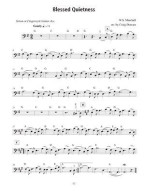 100 Gospel Songs And Hymns For Cello And Guitar (noty na violoncello, akordy na kytaru)