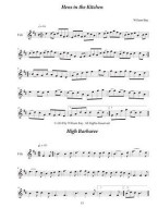 William Bay: Lively Fife Tunes (noty na fife)