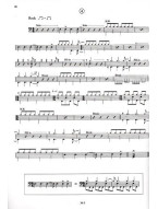 Miloš Veselý: Bicí nástroje v orchestru
