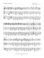 Old-Time Festival Tunes For Clawhammer Banjo (tabulatury na banjo) (+audio)