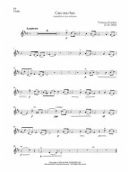 First 50 Classical Pieces You Should Play on the Violin (noty na housle, klavír)