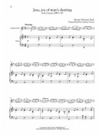 Wedding Music for Classical Players (noty na klarinet, klavír) (+audio)