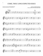 Christmas Carols - Violin: 10 Holiday Favorites (noty na snadné housle) (+audio)