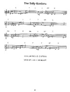 Making Music For Folk Harp (noty na harfu) (+audio)