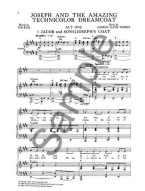 Joseph And The Amazing Technicolor Dreamcoat: Full Vocal Score (noty, akordy, texty, klavír, kytara, zpěv)
