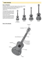 Essential Elements for Ukulele Method Book 1 (noty, tabulatury na ukulele) (+audio)