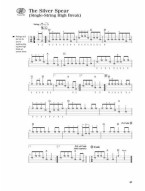 Play Banjo Today! Level 2 (tabulatury na banjo) (+audio)