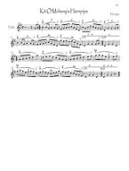 100 Tunes from O'Neill's Music of Ireland (noty na housle)