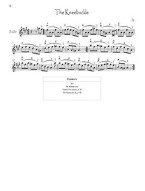 100 Tunes from O'Neill's Music of Ireland (noty na housle)