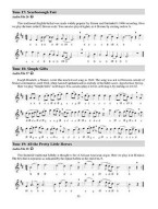 First Lessons Tin Whistle (noty na irskou flétnu) (+audio/video)