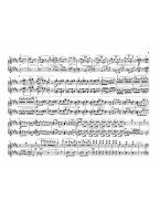Antonín Dvořák: Slavonic Dances / Slovanské tance Op.72 (noty na čtyřruční klavír)