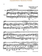 Johannes Brahms: Sonata In A Major Op.100 (noty na housle, klavír)