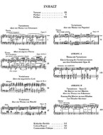 Johannes Brahms: Variations for Piano (noty na klavír)