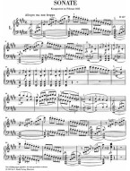 Franz Schubert: Piano Sonatas Volume III (noty na klavír)