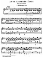 Franz Liszt: 2 Concert Etudes (noty na klavír)