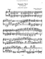 Johannes Brahms: Complete Sonatas And Variations For Solo Piano (noty na klavír)