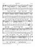 Scottish Airs and Ballads for Autoharp (noty, tabulatury na autoharfu) (+audio)