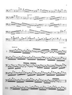 Ondřej+Jan Balcar: Kontrabasové etudy