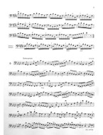 Ondřej+Jan Balcar: Kontrabasové etudy