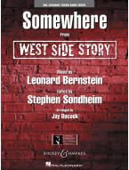 Leonard Bernstein: Somewhere (noty pro školní orchestr, party, partitura)