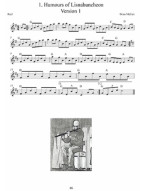 Contemporary Fiddle Tunes from the Northeast of Ireland (noty na housle)