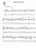 Lively Mandolin Tunes (noty, tabulatury na mandolínu) (+audio)