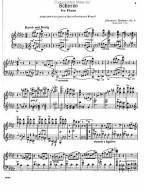 Johannes Brahms: Complete Works For Piano Solo Volume 2 (noty na klavír)