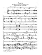 Johannes Brahms: Sonata In E Minor Op. 38 (noty na violoncello, klavír)