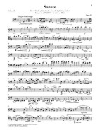 Johannes Brahms: Sonata In E Minor Op. 38 (noty na violoncello, klavír)