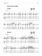 Flamenco Guitar: Technique, Theory and Etudes (noty, tabulatury na kytaru) (+audio)
