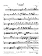 Beethoven: Serenade In D Major Op. 41 For Flute (noty na příčnou flétnu, klavír)