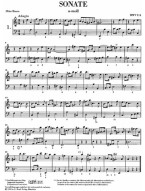 Georg Friedrich Händel: Flute Sonatas Volume II - Hallenser-Sonatas (noty na příčnou flétnu, klavír)