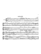 Ludwig van Beethoven: Works For Piano Four-hands, series VII Volume 1 (noty na čtyřruční klavír)