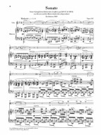 Max Reger: Clarinet Sonata Op.107 (noty na violu, klavír)