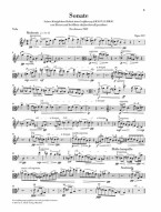 Max Reger: Clarinet Sonata Op.107 (noty na violu, klavír)