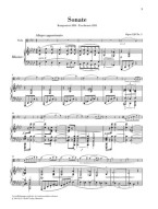 Johannes Brahms: Clarinet Sonatas Op.120 (noty na violu, klavír)