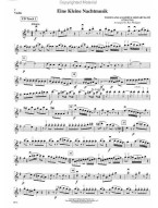 Playing With The Orchestra - Classics (noty na housle) (+audio)