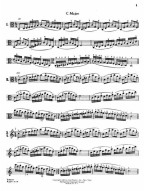 Carl Flesch: Scale System (noty na violu)